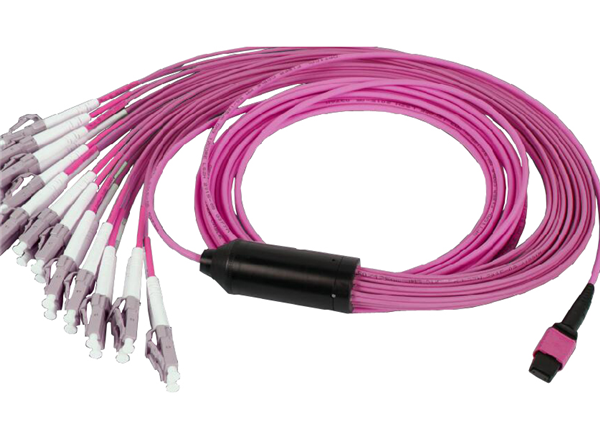 12F MTP Pinned -LC Multimode OM4 Fiber Optic Harness Cable